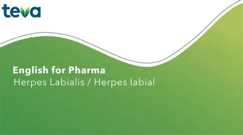 hermes labial|herpes labial in english.